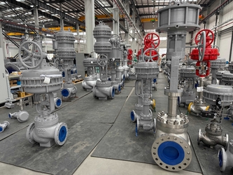 Xiangjing (Shanghai) M&amp;E Technology Co., Ltd linea di produzione in fabbrica