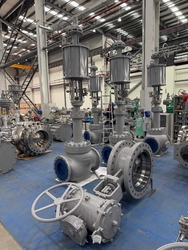 Xiangjing (Shanghai) M&amp;E Technology Co., Ltd linea di produzione in fabbrica
