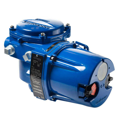 l'azionatore elettrico del limitorque QX per le valvole funziona con il corpo di valvola di Fisher EZ