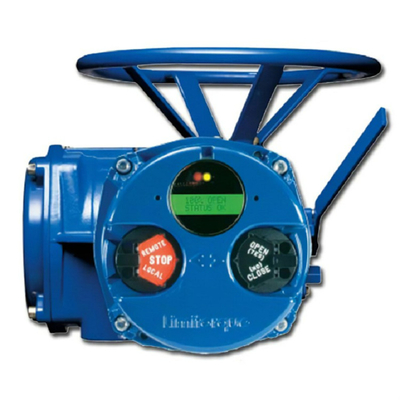 l'azionatore elettrico del limitorque QX per le valvole funziona con il corpo di valvola di Fisher EZ