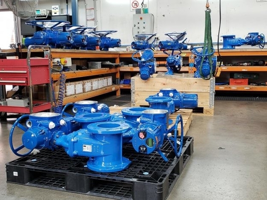 MX di Limitorque - MX 100 - 85 MX - lavoro elettrico dell'azionatore di QX con la valvola di Flowserve