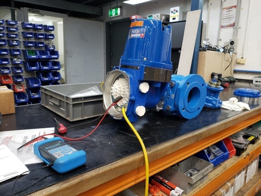 MX di Limitorque - MX 100 - 85 MX - lavoro elettrico dell'azionatore di QX con la valvola di Flowserve