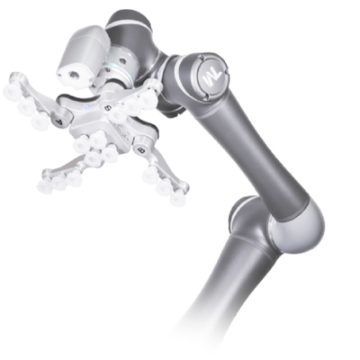 TM5-700 selezionano e dispongono i robot di collaborazione con il sistema elettrico della visione della pinza di presa di Onrobot