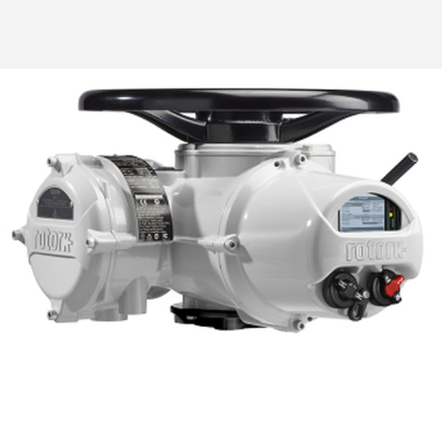 Quoziente d'intelligenza elettrico dell'azionatore di ROTORK con la valvola di Wuzhong di cinese e le valvole a sfera di Flowserve