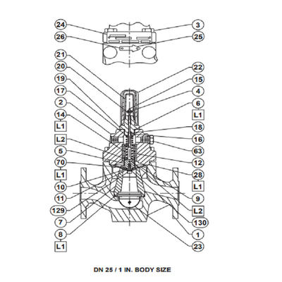 Scivolo cinese montato con la valvola di regolazione di regolamento LR125 FISHER Pressure Regulators For Gas