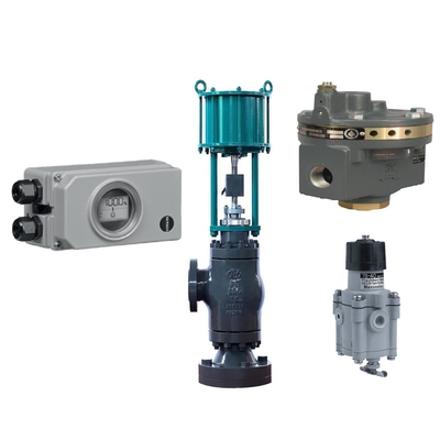 Regolatore del filtro da Fisher 2625 della valvola di controllo con il posizionatore della valvola di Samson 3730-3 e Masoneilan 78-40