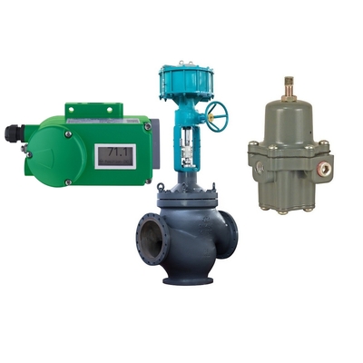 Valvola di controllo del flusso con posizionatore della valvola Foxboro SRD998 e regolatore del filtro Fisher 67CFR