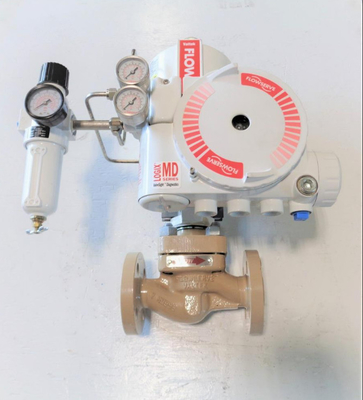 Valvola di globo di Wuzhong con il regolatore del filtro da Fisher 67CFR del posizionatore della valvola di Flowserve 3200MD