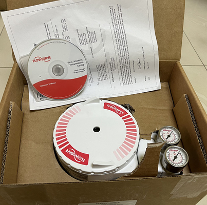 Cina e Masoneilan Valvola di controllo con Flowserve 3200MD posizionatore digitale HART e Fisher 67CFR filtro regolatore