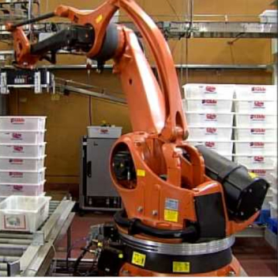 Palletizing Robotic Arm 5 Axis Kuka KR 180 PA Con CNGBS Robot Guide Rail per il robot di paletizzazione