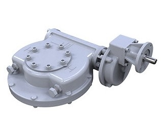 Attuatore elettrico ROTORK IQ e cambio IW IB con valvola di controllo cinese