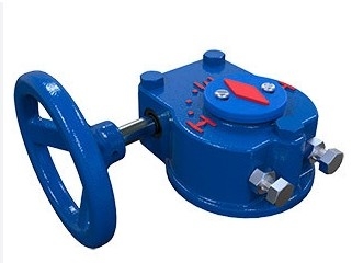 Attuatore elettrico ROTORK IQ e cambio IW IB con valvola di controllo cinese