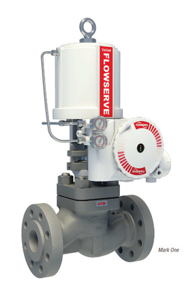 Stazione di riduzione della pressione e scaldamento con attuatore Valtek VR Flowserve e posizionatore di valvole 3200MD