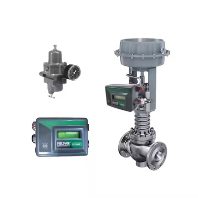 DVC2000 posizionatore di valvola digitale e 3582i posizionatore con valvola di riduzione della pressione del filtro