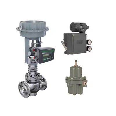 Valvola di controllo a sfera monoposto utilizzata per l'industria chimica/farmaceutica azionata pneumaticamente o elettricamente