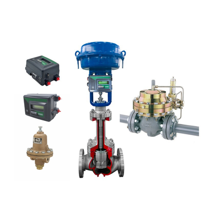 Nuovo Fisherr DVC2000 con buon prezzo