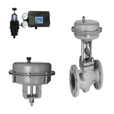 Samson 3241 Valvola Globale e 3271 Attuatore Pneumatico, dotati di posizionatore di valvole di alta qualità di produzione nazionale.