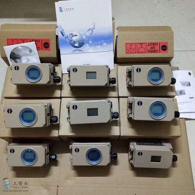 Samson Pneumatic Smart Positioner 3730-31001 con l'elettrovalvola a solenoide della valvola a farfalla e di Asco