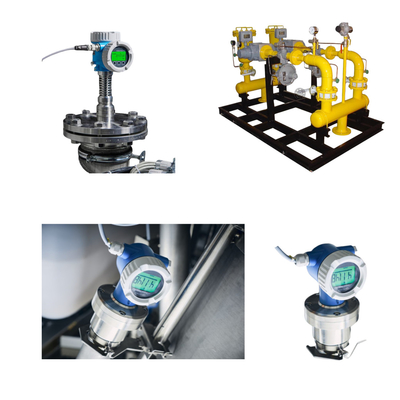 Montaggio a pattinatura Endress di misurazione del livello radiometrico in punto di non contatto + trasmettitore compatto Hauser Gammapilot FMG50