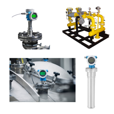 Montaggio a pattinatura Endress di misurazione del livello radiometrico in punto di non contatto + trasmettitore compatto Hauser Gammapilot FMG50
