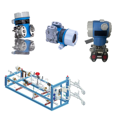 Chinese Skid- Mount Endress+Hauser Trasmettitore di pressione differenziale Deltabar PMD55