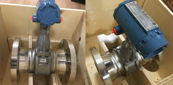 Misuratore di flusso originale della serie 8800/8750w di Emerson Rosement