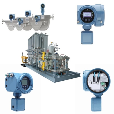 EMERSON Rosemount Micro Motion F-Series Coriolis Meter Con Sensore F025H F100A F200H F050S E Trasmettitore 5700