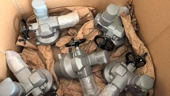 Valvole elettriche con AUMA SQ10.2 e valvola F10 F12 Auma SQ SQR Attuatore elettrico a rotazione parziale SQ10.2 SQ07.2 SQ12.2 SQ14.2 SQ05.2 Per attività aperta o chiusa