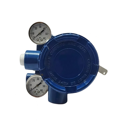 Valvola di controllo pneumatico originale Valvola di posizionamento di valvola intelligente AVP300 AVP301 AVP302 12v 24v 2 Way Asco Solenoid Valve