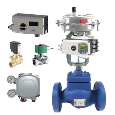 Spirax Sarco Control Valve KEA Series With Masoneilan/ABB Positioner and ASCO/Burkert Soleniod Valve