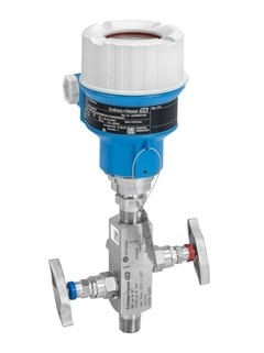 Endress Hauser PMC41 PMC51 PMC71 Sensore ceramico E+H Gas Liquid Trasmettitore di pressione digitale per prodotti farmaceutici Alimenti