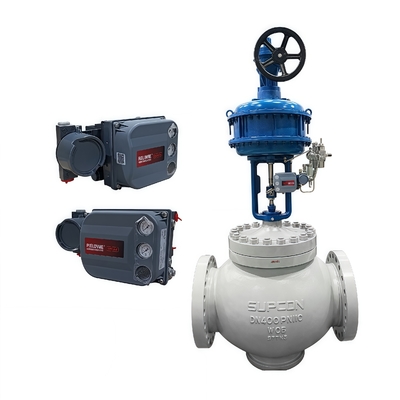 Valvola di controllo a sede singola bilanciata a pressione con gabbia nuova di zecca Fisher DVC2000 DVC6200 Digital Valve Controller