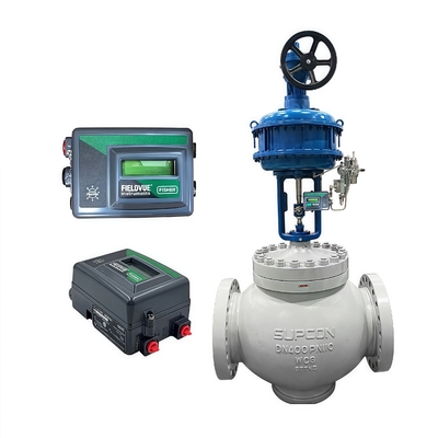 Valvola di controllo a sede singola bilanciata a pressione con gabbia nuova di zecca Fisher DVC2000 DVC6200 Digital Valve Controller