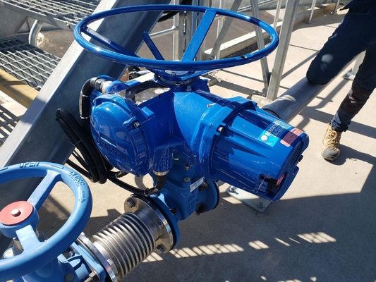 Attuatore elettrico per valvole Flowserve Limitorque MX QX Series Personalizzato Cina Controllo flusso valvole industriali multi-giro e quarto di giro