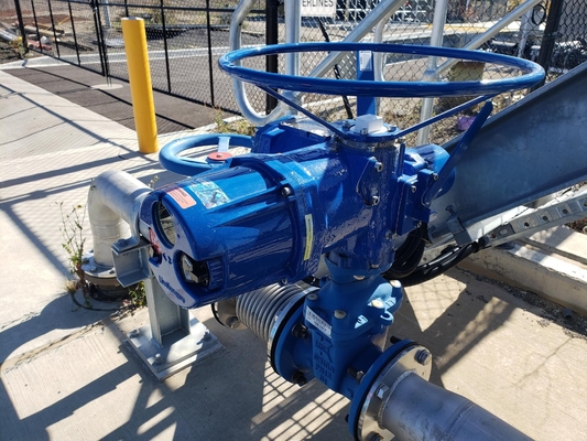 Attuatore elettrico per valvole Flowserve Limitorque MX QX Series Personalizzato Cina Controllo flusso valvole industriali multi-giro e quarto di giro