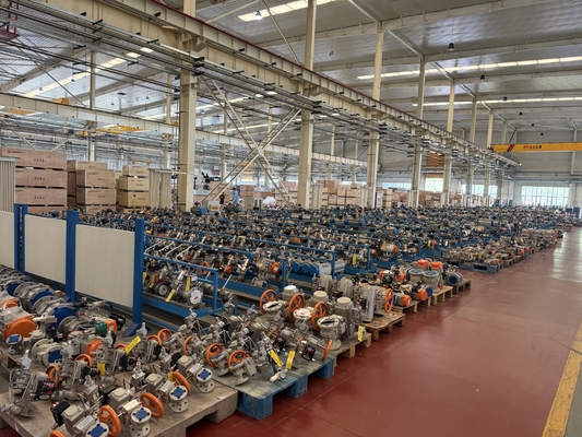 Cina Valve Body Factory Manufacturer Personalizzato Emerson Fisher DVC2000 Controller Valve Digitale 67CFR Regulatori Fisher Valve