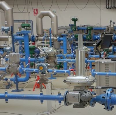 Emerson Fisher LS200 regolatore di pressione a gas naturale industriale