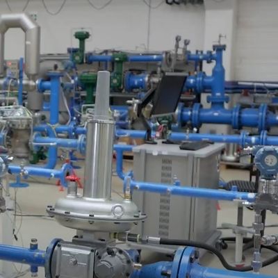 Emerson Fisher LS200 regolatore di pressione a gas naturale industriale