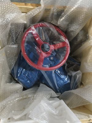 Valvola di controllo elettrica Peckmony PWMON per il trattamento dell'acqua e del petrolio e del gas