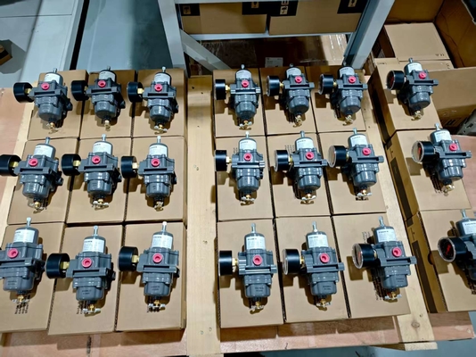 Valvola riduttrice di pressione del regolatore di filtro Fisher 67CFR 450 psig