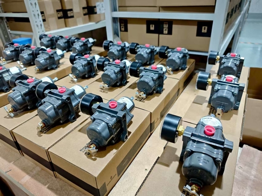 Valvola riduttrice di pressione del regolatore di filtro Fisher 67CFR 450 psig