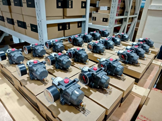 Valvola riduttrice di pressione del regolatore di filtro Fisher 67CFR 450 psig