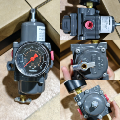 Valvola riduttrice di pressione del regolatore di filtro Fisher 67CFR 450 psig