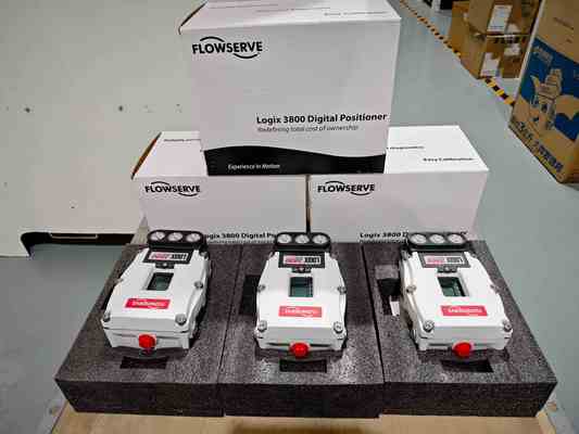 Flowserve Logix 3800 Valve Positioner Digitale Grande prezzo dalla Cina