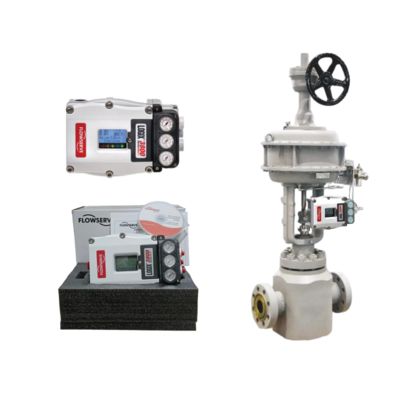 Flowserve Logix 3800 Valve Positioner Digitale Grande prezzo dalla Cina