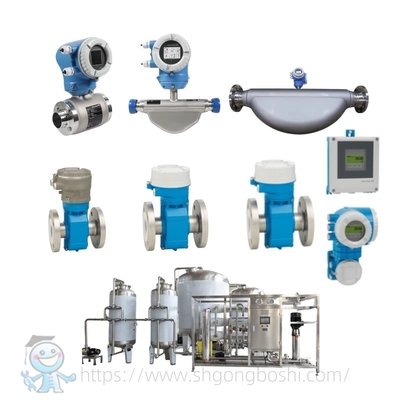 Misuratore di portata sanitario E+H Proline Promag P 300 P 500 Endress Hauser Misuratore di portata elettromagnetico per uso alimentare