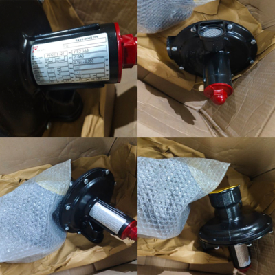 Stock Supplier Pressure Equipment Tartarini V/61 Automatic Spring Loaded Relief Valves  for Low Pressure Applications