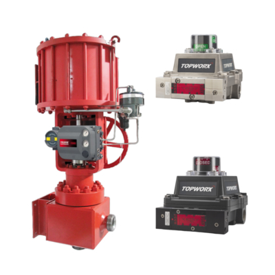 TopWorx TXP-M21GNMM NAMUR Posizionatore di Valvola Antideflagrante per Albero