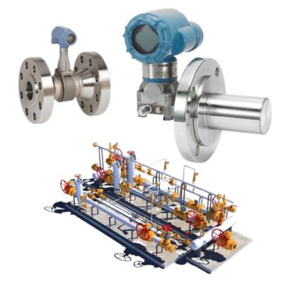 Trasmettitore di livello Rosemount 3051L con protocollo HART IP66