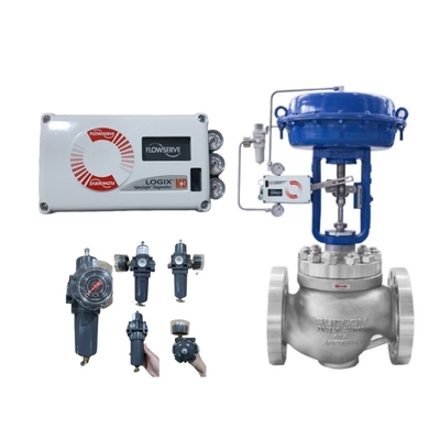Regolatore di pressione Fisher 67DFR Flowserve Logix 520MD Valvole di controllo industriali Posizionatore digitale per valvole Cina Valvola a membrana